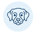 Browse Rescued Dogs