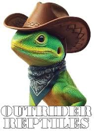 OutRider Reptile