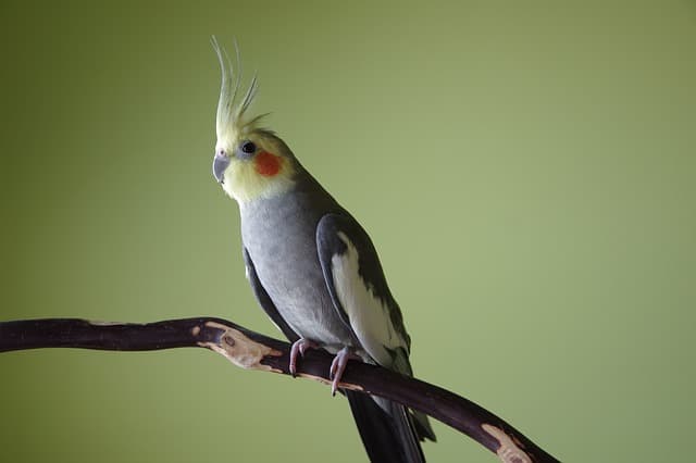 Article Gallery Image